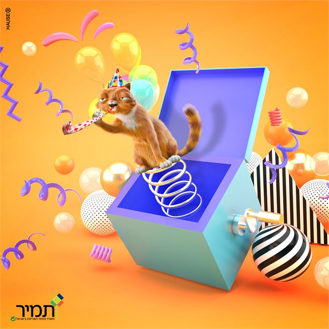 קופסאת הפלאים
